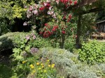Images for Somersham, Ipswich, Suffolk