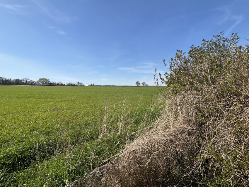 Images for Needham Market, Suffolk