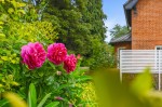 Images for Needham Market, Suffolk