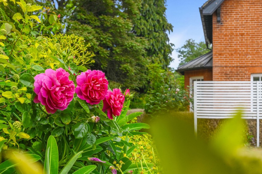 Images for Needham Market, Suffolk