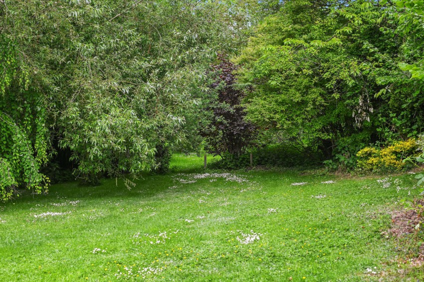 Images for Needham Market, Suffolk